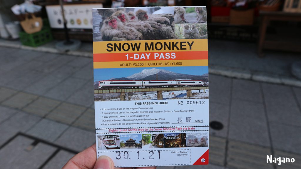 snow monkey 1 day pass