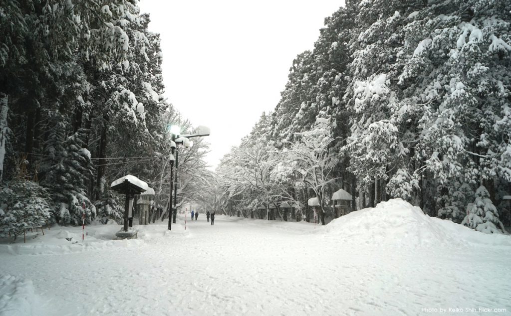 hokkaido shrine winter
