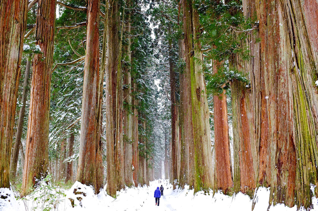 Togakushi Shrine winter