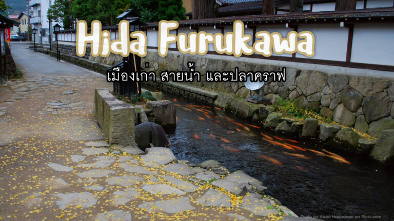 ฮิดะ ฟุรุคาวะ Hida Furukawa – เมืองเก่า สายน้ำ และปลาคราฟ