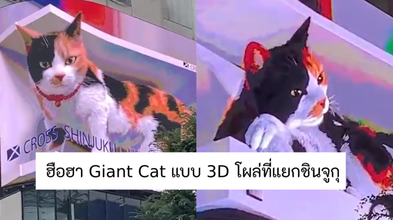 แมวยักษ์ Giant Cat แบบ 3D โผล่แยก ชินจูกุ